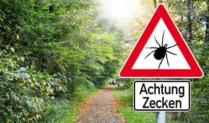 Zeckenstich Zeckenwarnschild im Wald