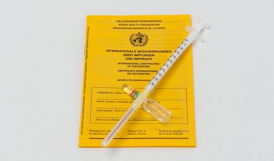 Grippeschutz durch Impfung Impfpass mit Spritze und Impfserum