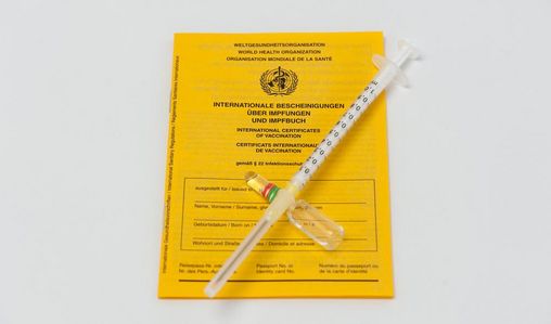 Impfpass mit Spritze und Impfstoff