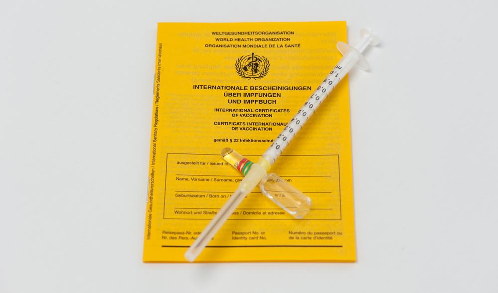 Frühzeitig an den Grippeschutz denken Impfpass mit Spritze