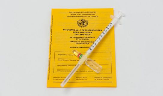 Jetzt schon an den Grippeschutz denken Impfpass mit Spritze und Impfserum
