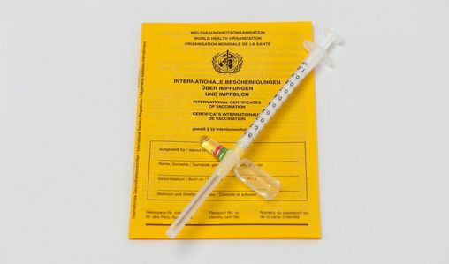 Impfpass mit Spritze und Ampulle