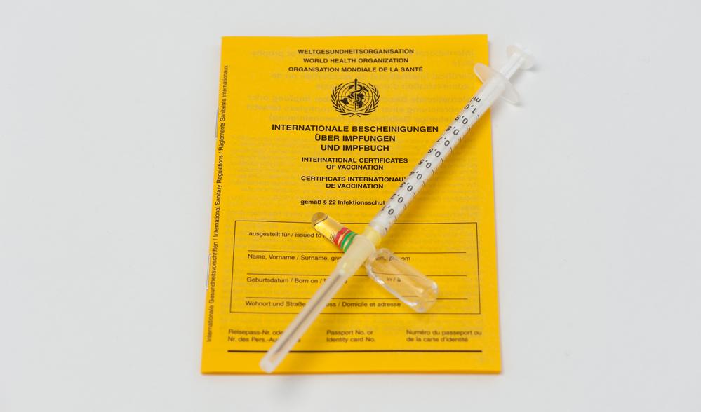 Jetzt an den Grippeschutz denken Impfpass mit Spritze und Ampulle